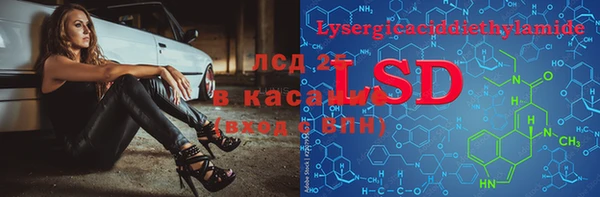 PSILOCYBIN Семёнов
