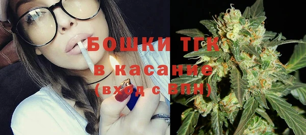 сатива Семилуки