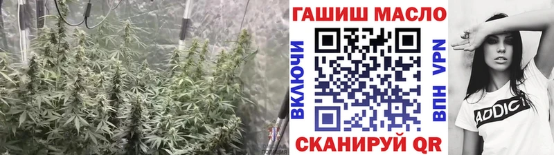 дарнет шоп  Камень-на-Оби  даркнет клад  ТГК THC oil 