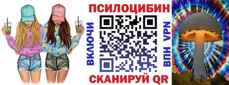 blacksprut маркетплейс  Камень-на-Оби  Псилоцибиновые грибы ЛСД 