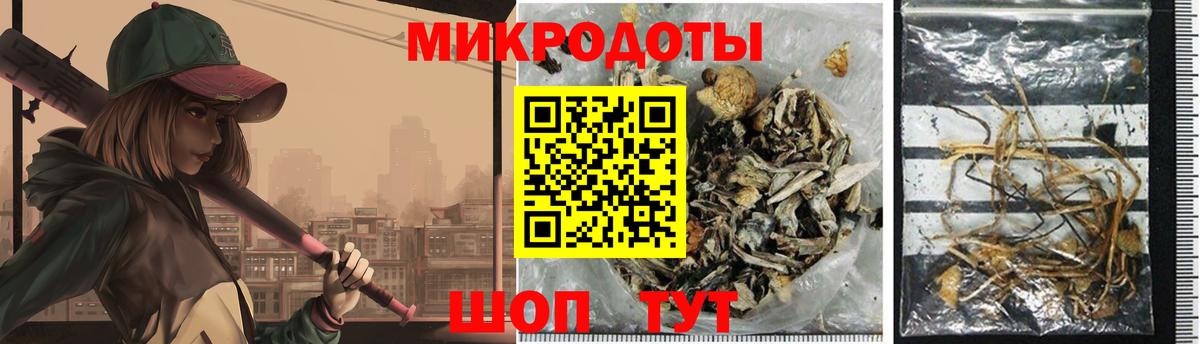 Галлюциногенные грибы ЛСД Камень-на-Оби